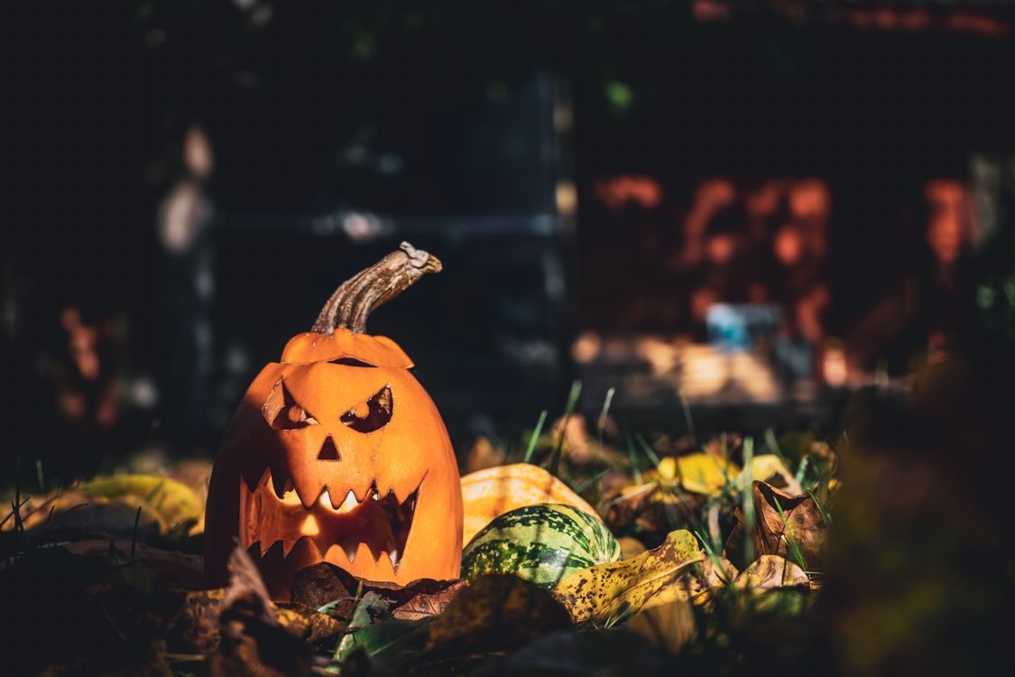 Halloween Weekend in New Jersey Family-Friendly and Nightlife Picks representing New Jersey's diverse and vibrant communities